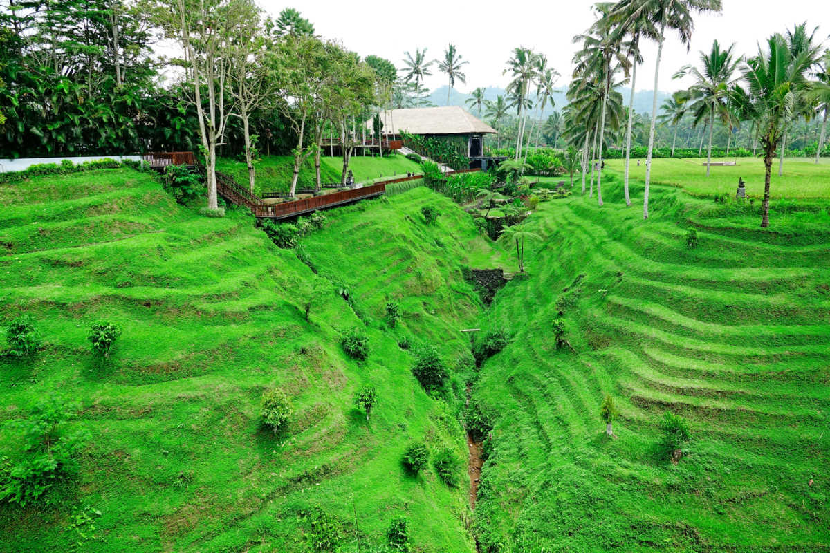Secret Garden Village di Bali adalah perjalanan sehari interaktif yang sempurna bagi wisatawan