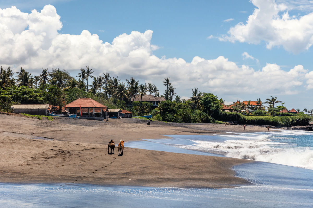 Seseh Beach in South Bali.jpg