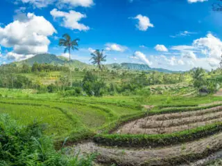 Is Sideman The New Ubud? Bali Tourists Seek New Destinations&nbsp;