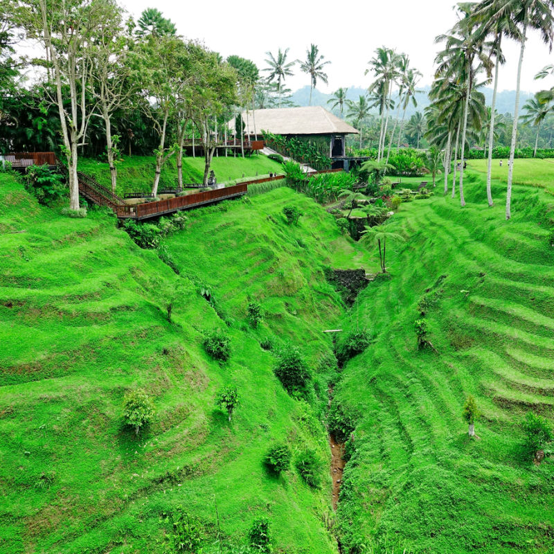 Secret Garden Village in Bedugul Tabanan Bali.jpg
