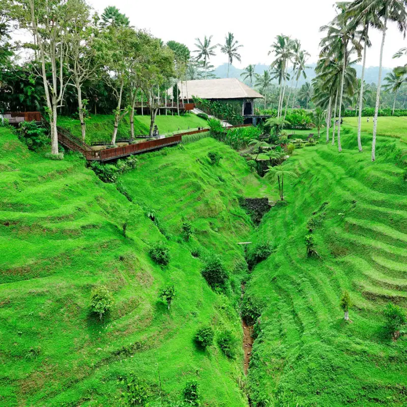 Secret Garden Village in Bedugul Tabanan Bali.jpg