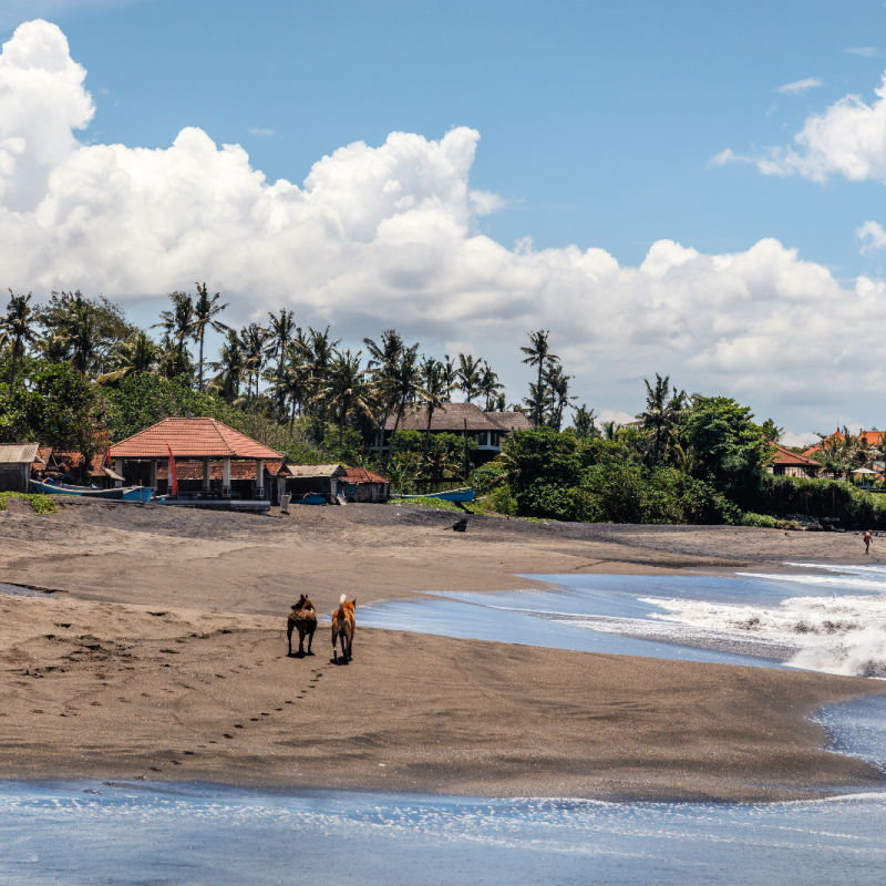 Seseh-Beach-in-South-Bali