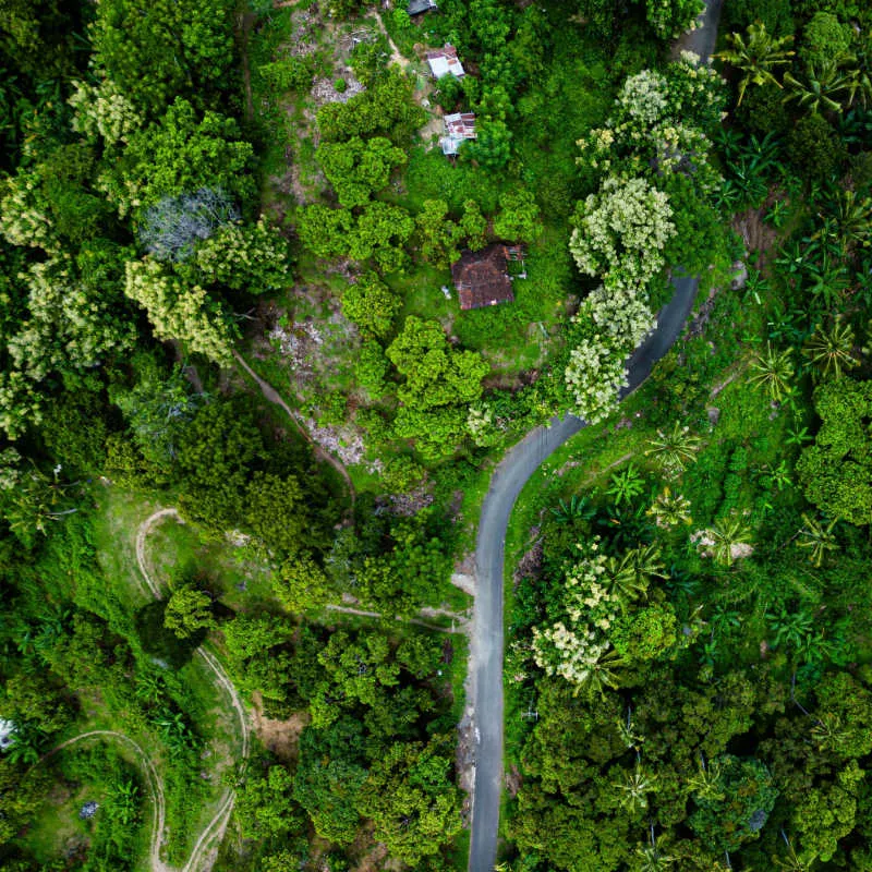 Ariel-View-of-Bali-Jungle-Forest-Nature