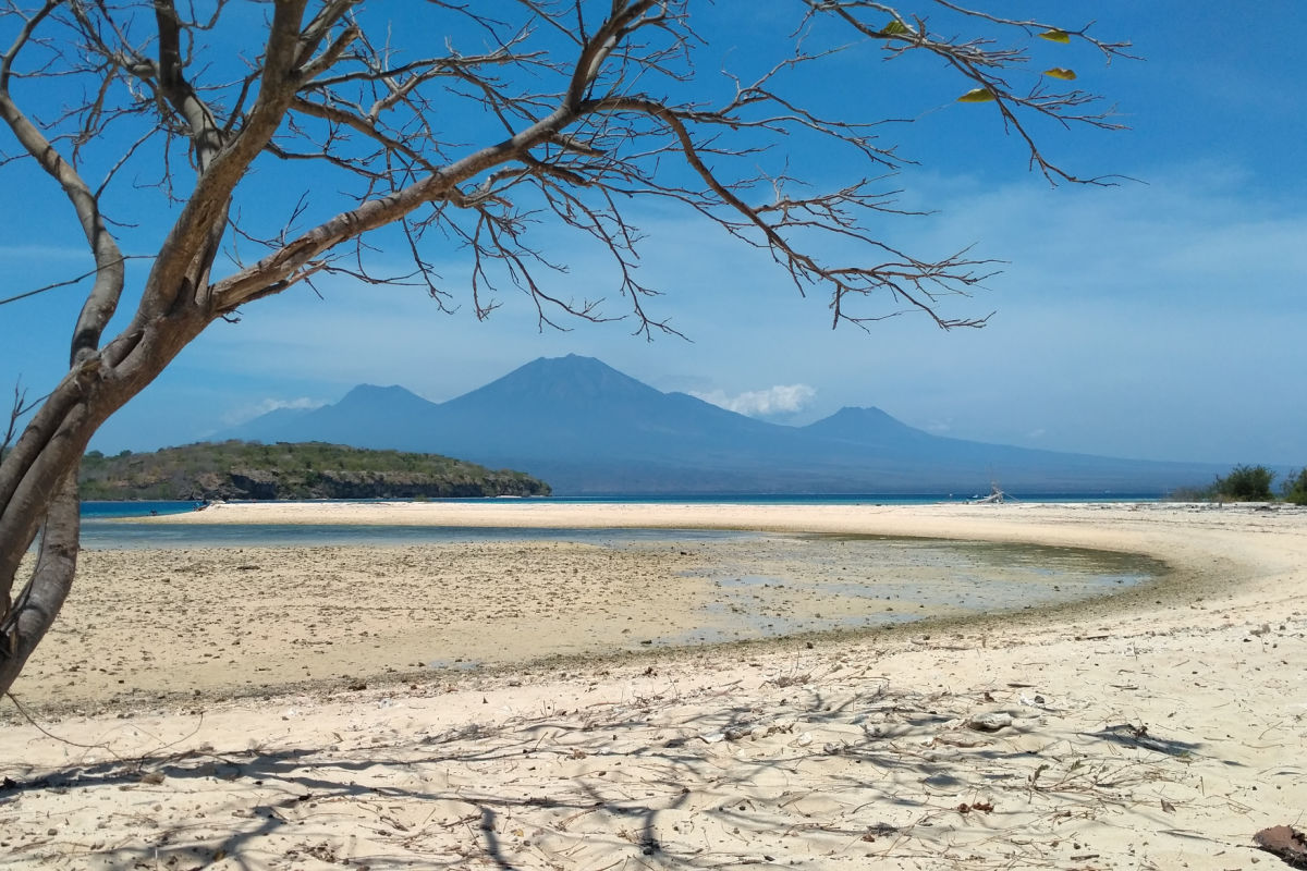 Beach In West Bali National Park.jpg