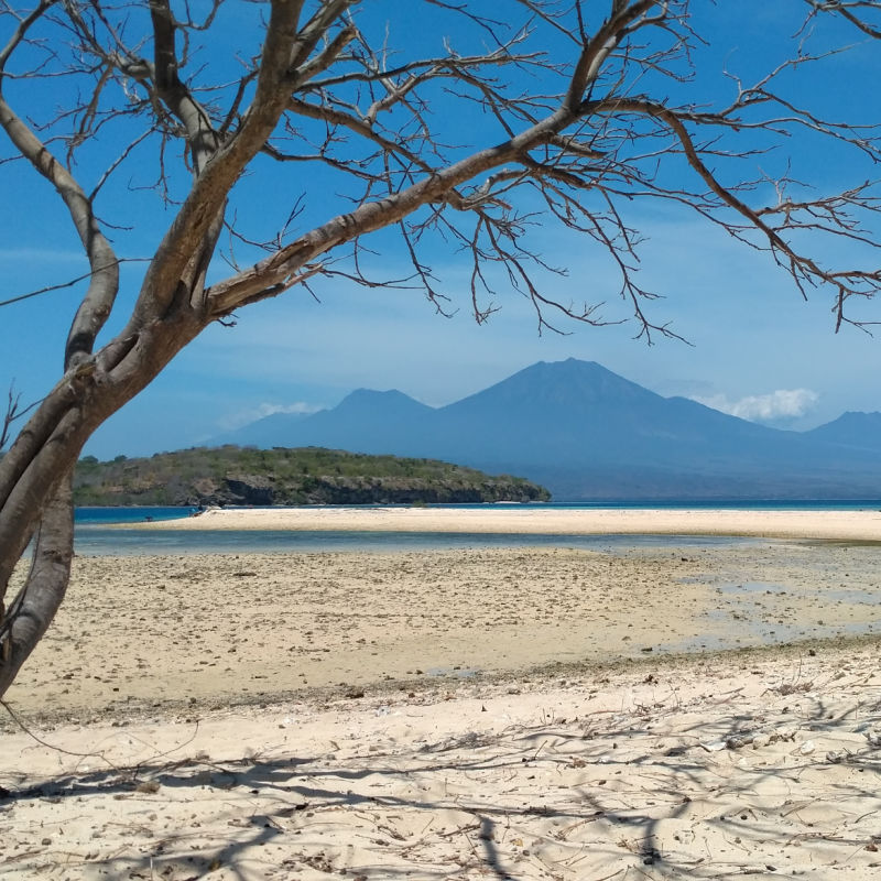 Beach-In-West-Bali-National-Park