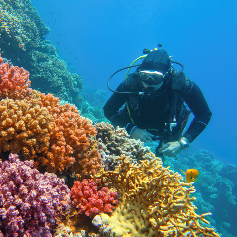 Scuba-Dive-Coral-Reef