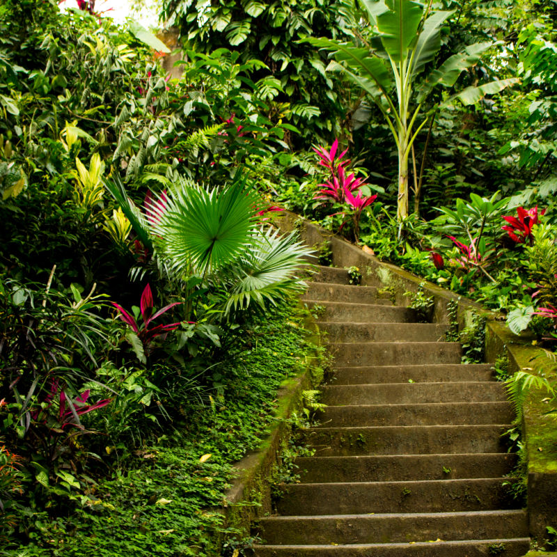 Stairway in Bali Garden.jpg