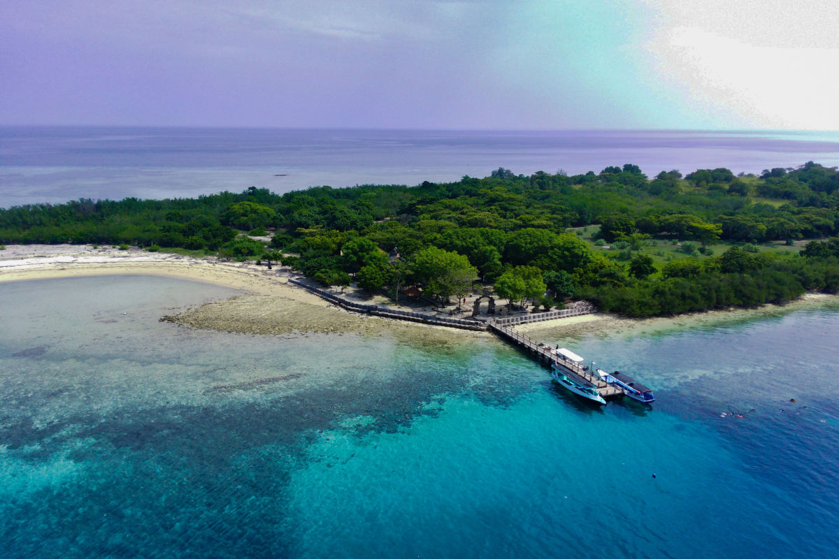 West Bali National Park and Menjangan Island