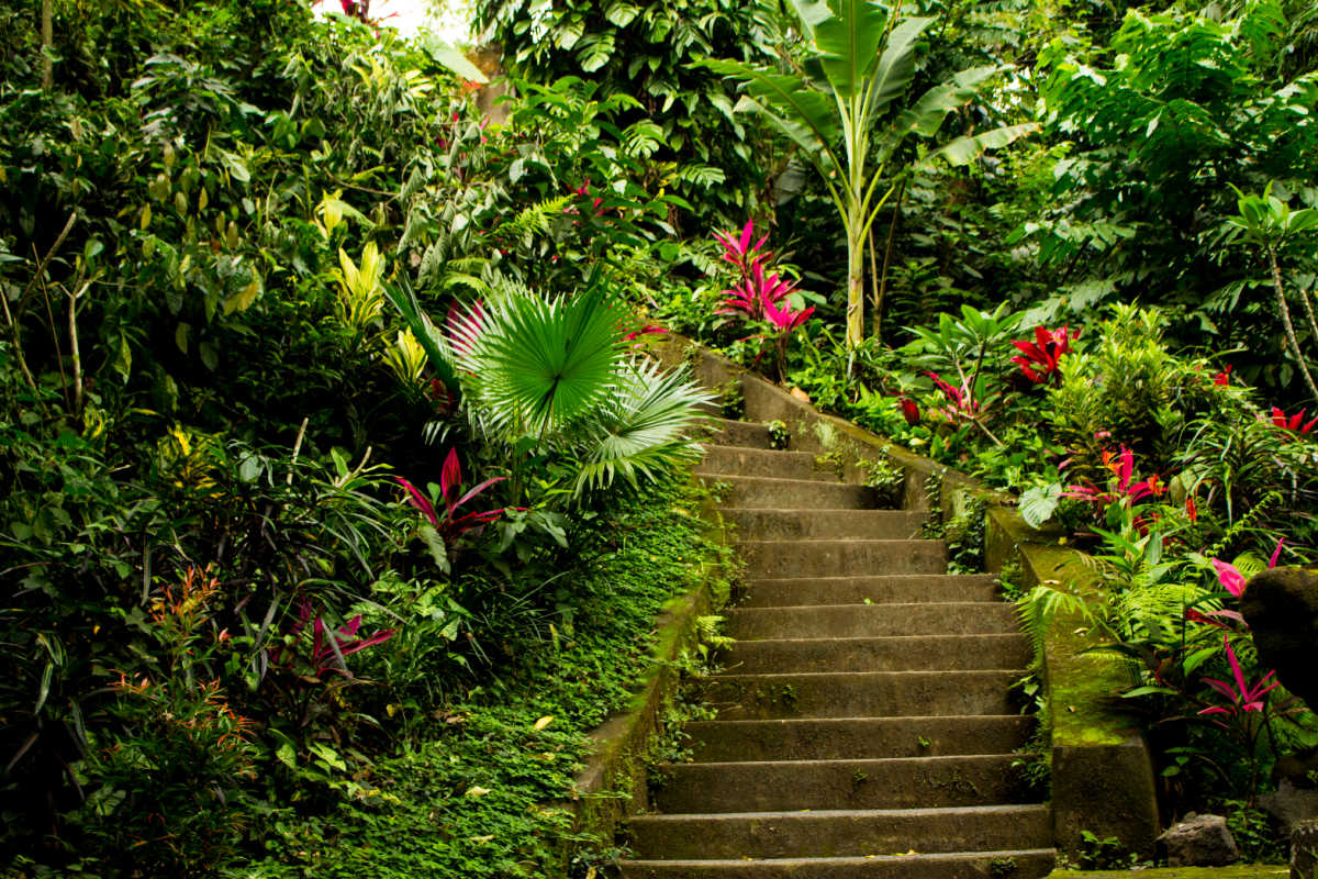 Stairway in Bali Garden.jpg