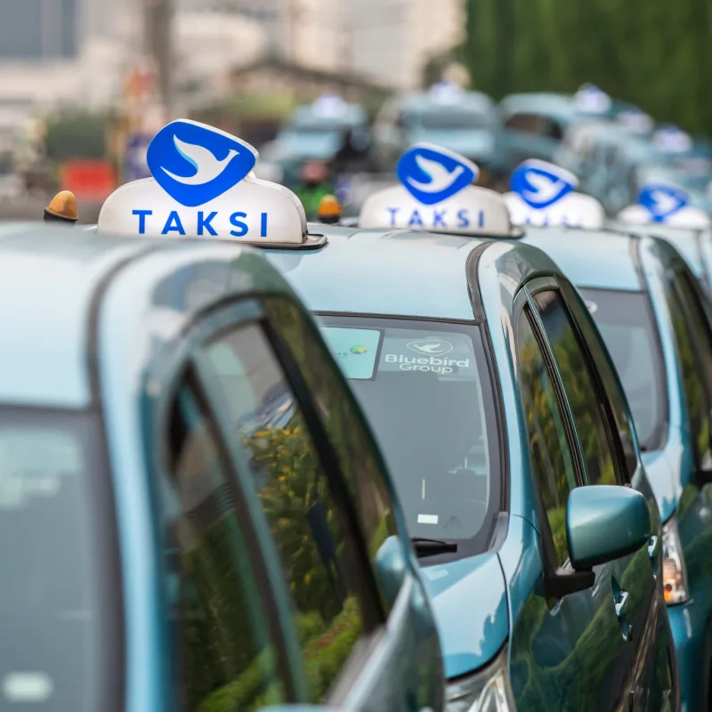 Bluebird-Taxis-Parked-In-A-Line