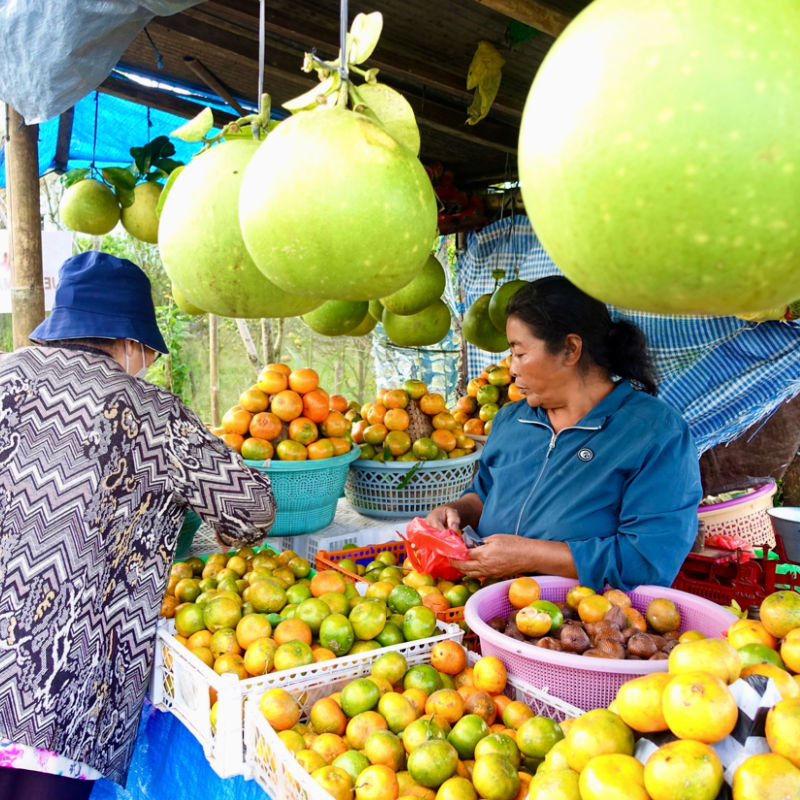 Fruit-Stall-in-Bali-Kintamani-Oranges