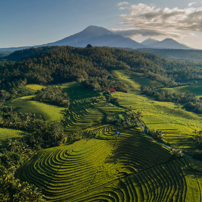 Sawah-teras-dan-Gunung-Batur-Pemandangan-Gunung-Agung-Bali