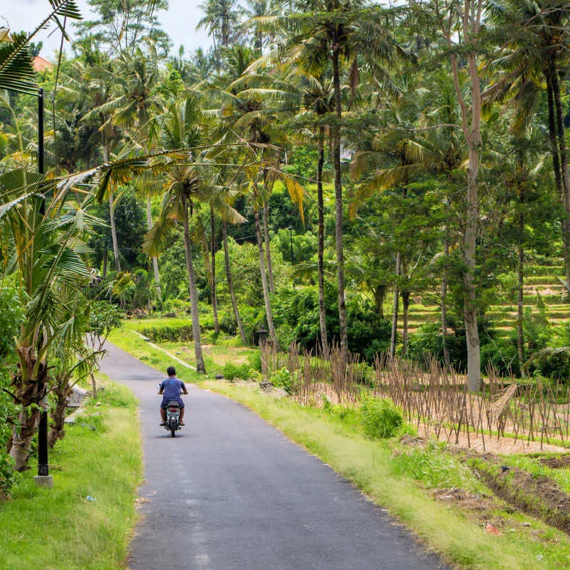 Single-Moped-Drives-On-Empty-Bali-Road-In-Rural-Area