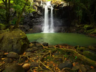 Tourist Dies At Bali Waterfall In Tragic Accident