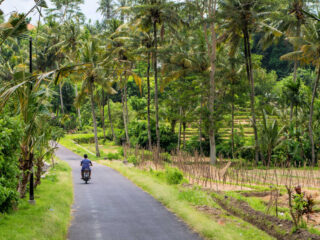 Tourists Question Whether A Traffic Free Bali Vacation Is Possible In 2024