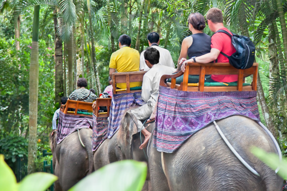 Tourists Ride Elephants in Bali.jpg