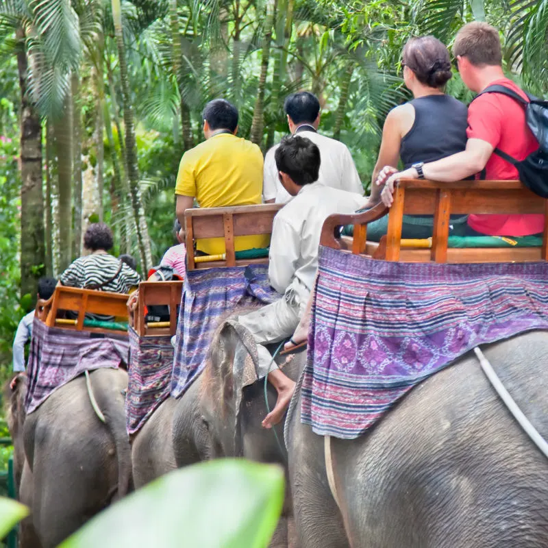 Tourists-Ride-Elephants-in-Bali
