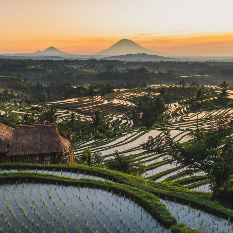 Jatiluwih-Rice-Terraces-in-Bali-At-Sunset