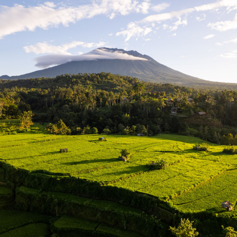 Mount-Agung-and-Rice-Paddies