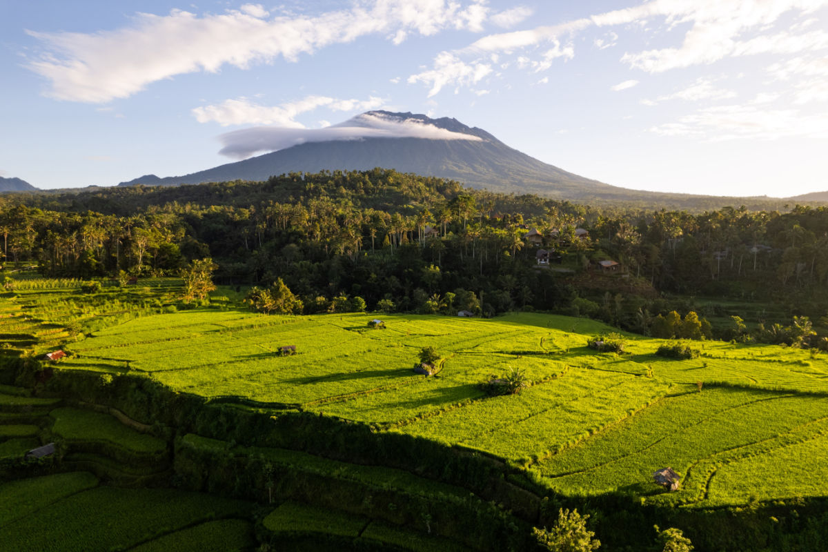 Mount Agung and Rice Paddies.jpg