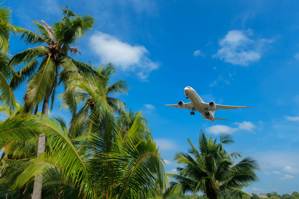 Palm Trees Blue Sky and White Plane in Sky.jpg