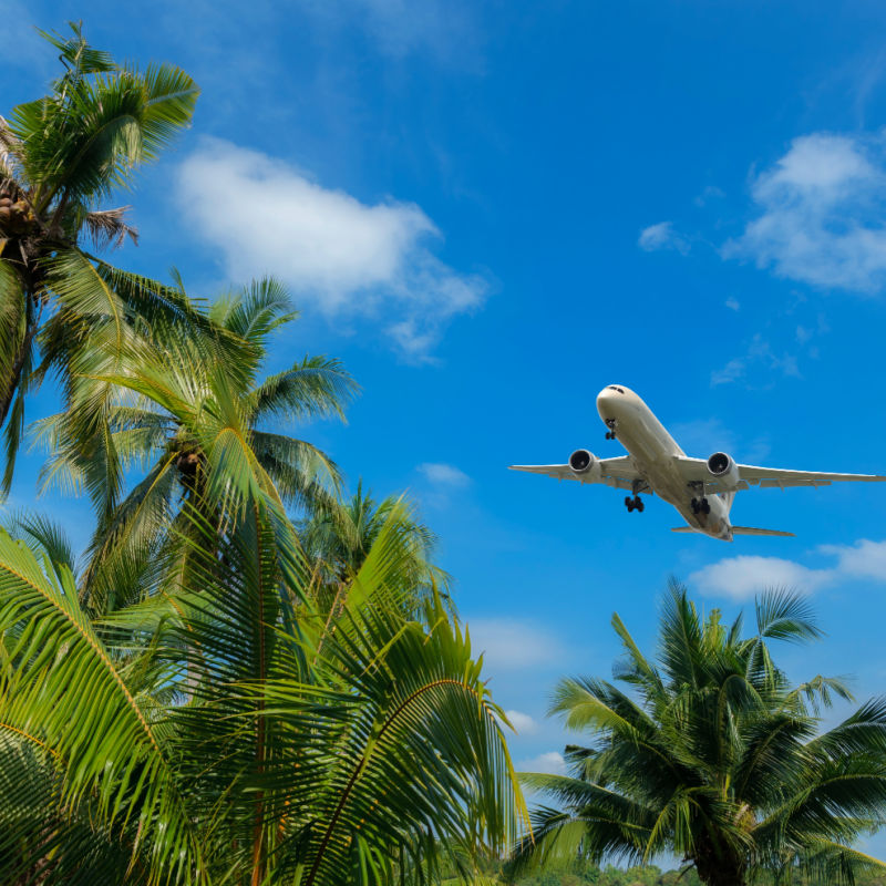 Palm-Trees-Blue-Sky-and-White-Plane-in-Sky