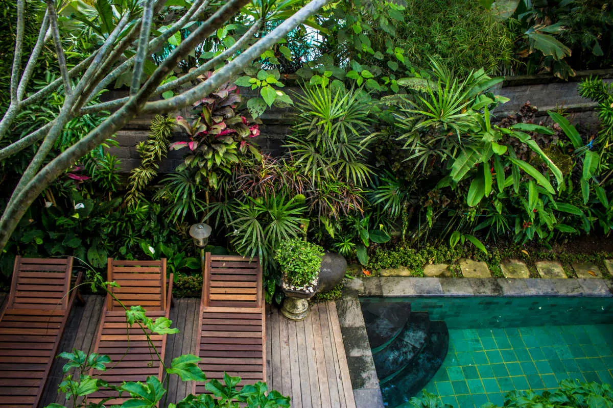 Hotel Garden Jungle Pool.jpg
