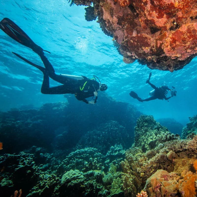 Divers in Coral Reef.jpg