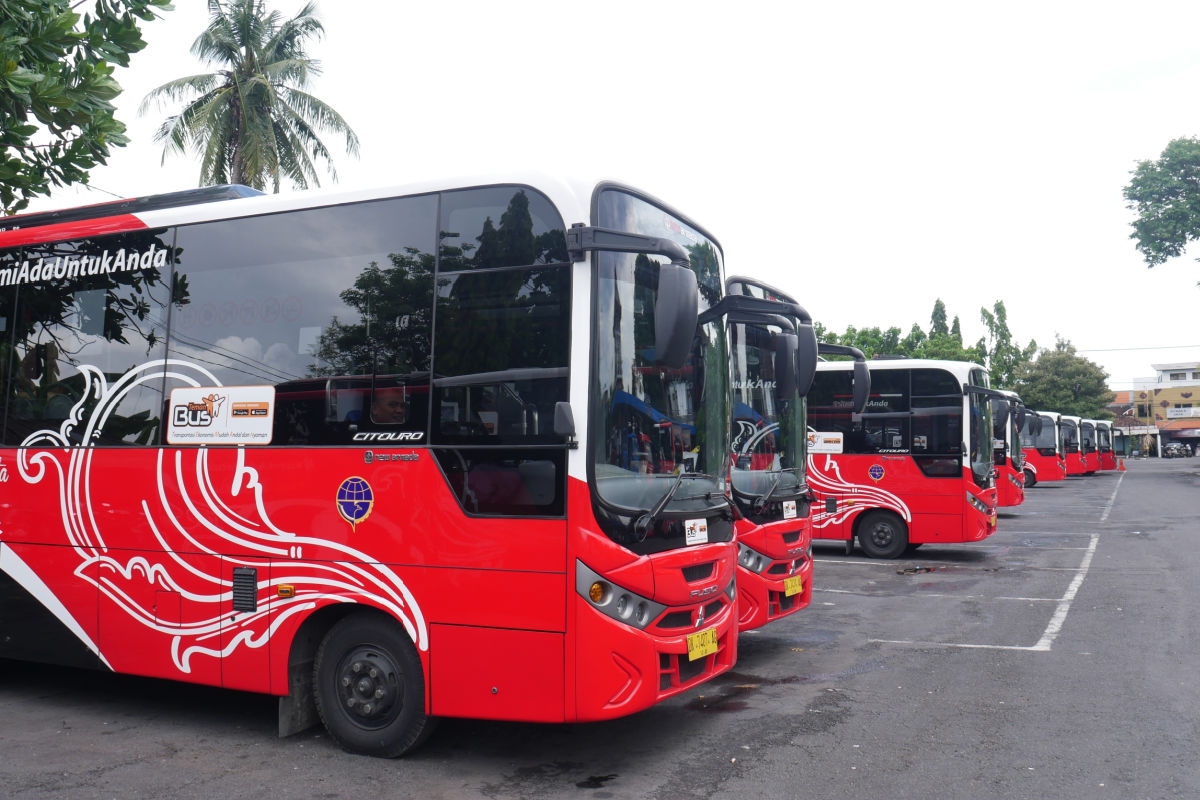 Bali Trans Dewata Metro Buses