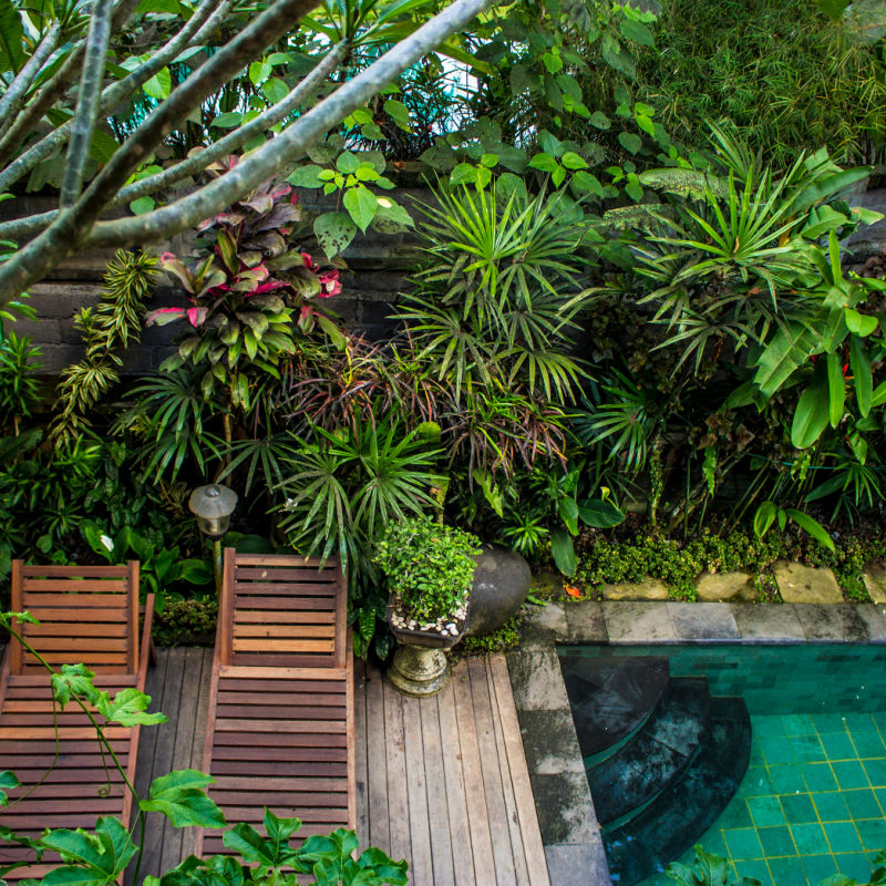 Hotel-Garden-Jungle-Pool