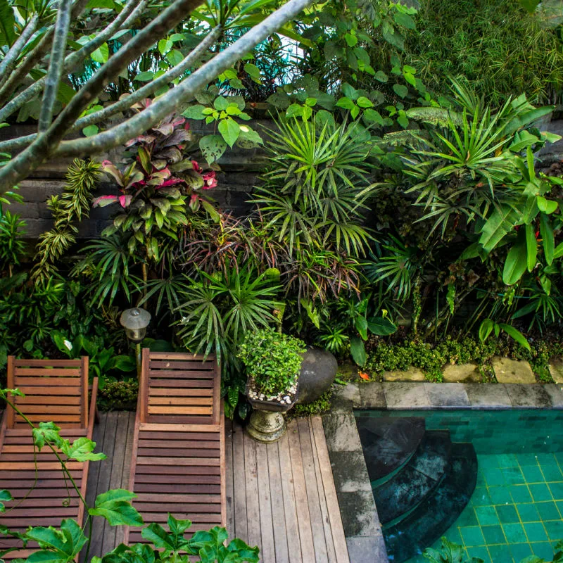 Hotel-Garden-Jungle-Pool