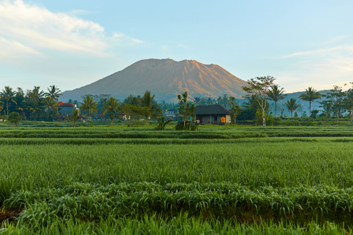 Mount Agung and Bali Rice Paddie.jpg