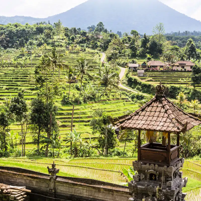 Jatiluwih-Rice-Terraces-