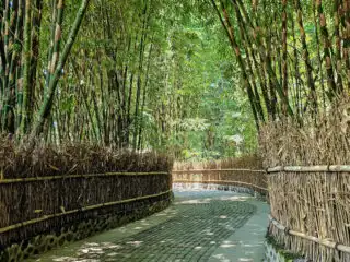 Magical Bamboo Forest In Bali Invites International Tourists To Celebrate The Holidays