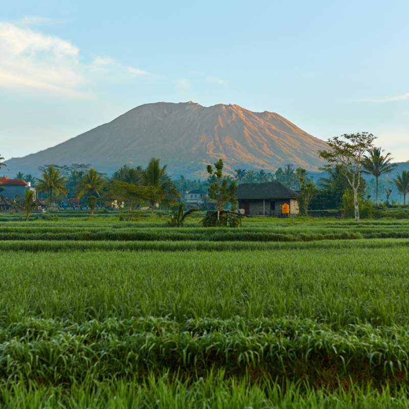 Mount-Agung-and-Bali-Rice-Paddie