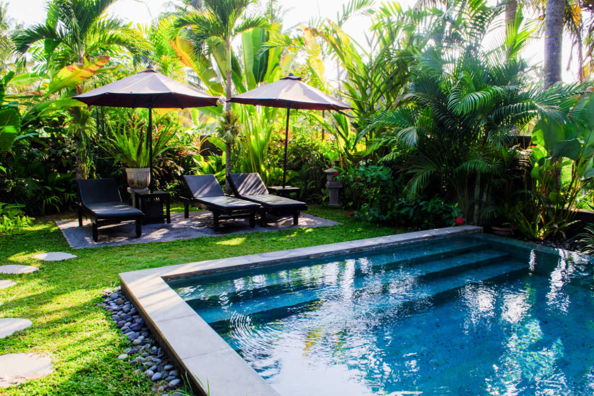 Garden Pool Bali Villa Jungle.jpg