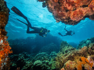 World’s Largest Coral Colony Just Discovered Off Coast Of Bali Big News For Ocean Loving Tourists 