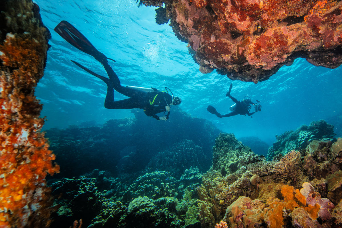 Divers in Coral Reef.jpg