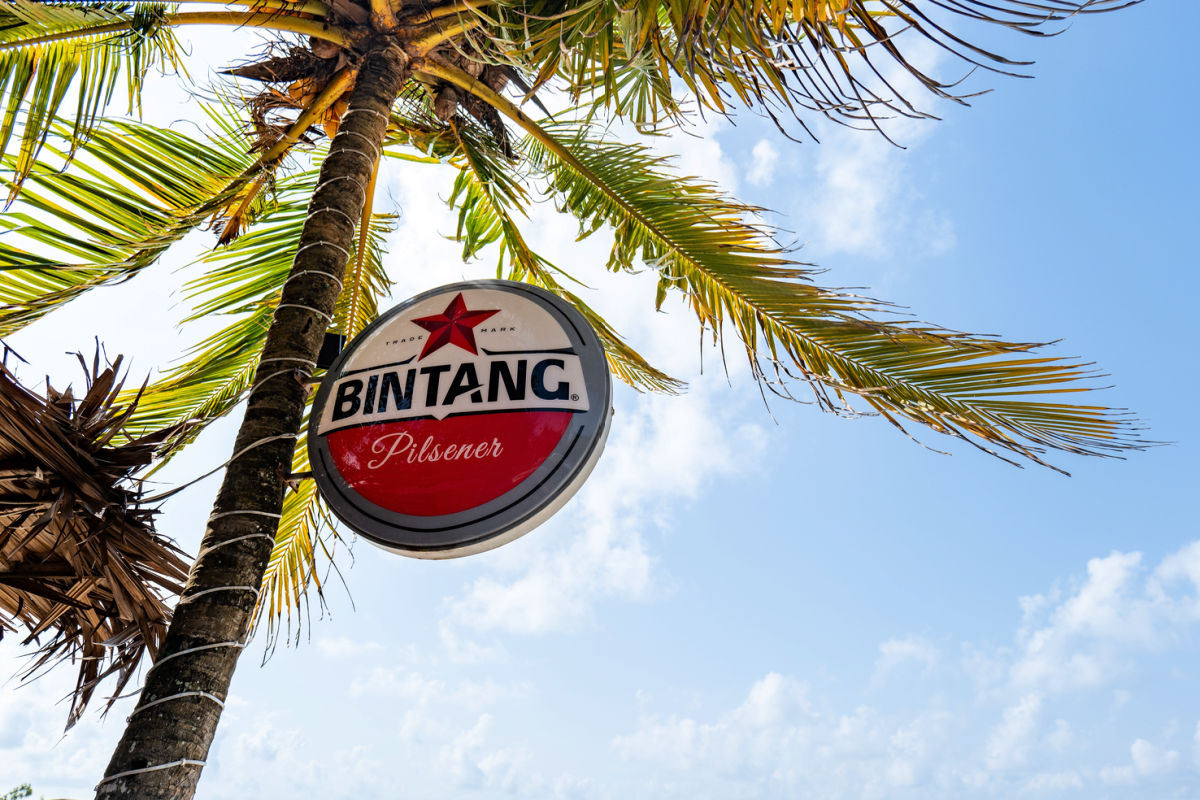 Bintang Beer Sign By Palm Tree in Bali.jpg