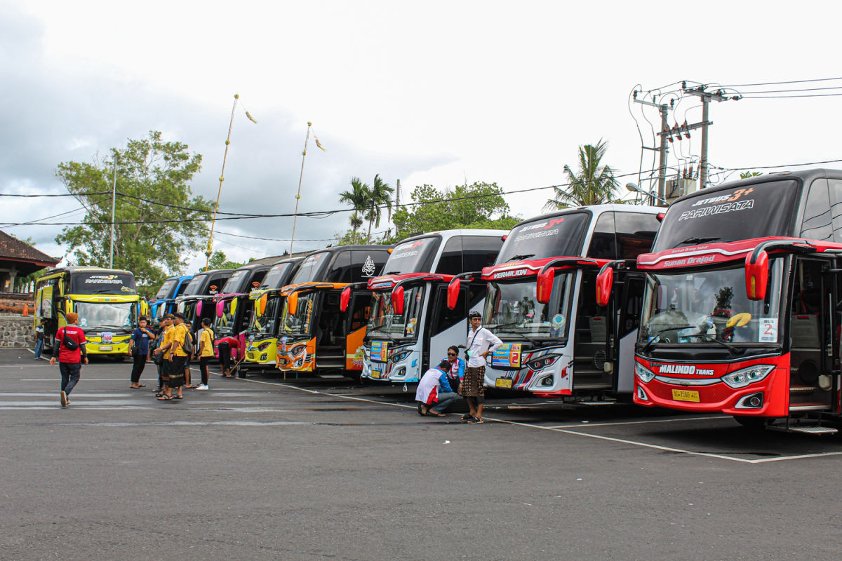 Buses Line Up In Car Park in Bali.jpg