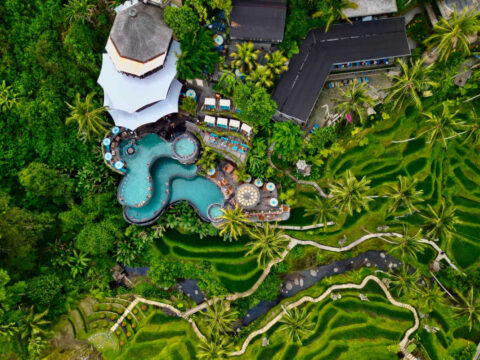 Bali’s Jungle Clubs Are A Must Visit During Your 2025 Vacation