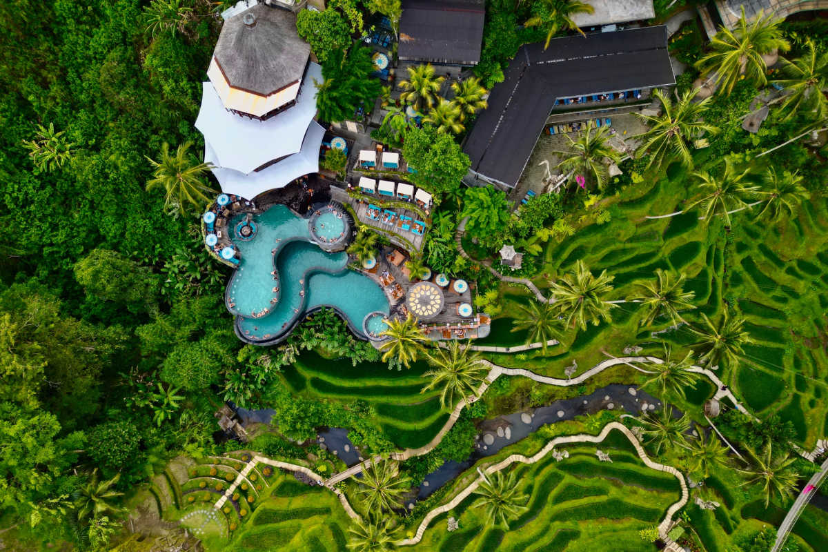 View of Jungle Club Bali