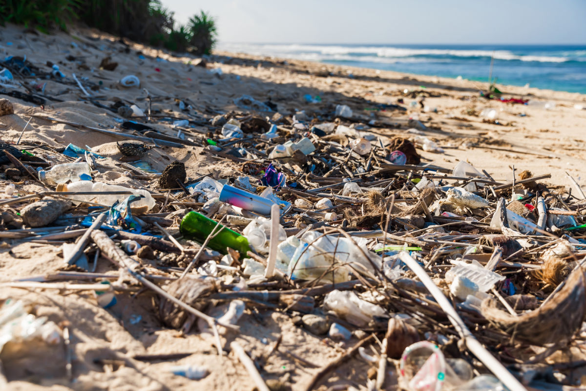 Trash on tropical beach.jpg