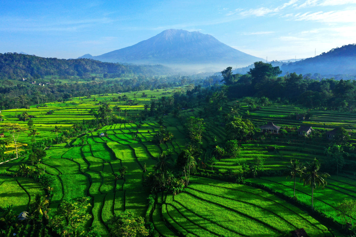 East Bali Rice Terraces and Mount Agung.jpg