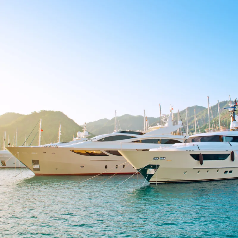 Luxury Yachts In Marina.jpg