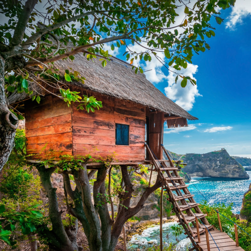 Nusa-Penida-Treehouse