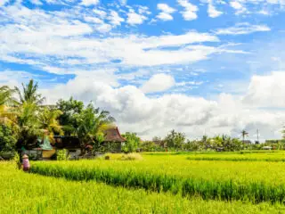 Underrated Umalas Is Serving Style And Sophistication To Bali Tourists