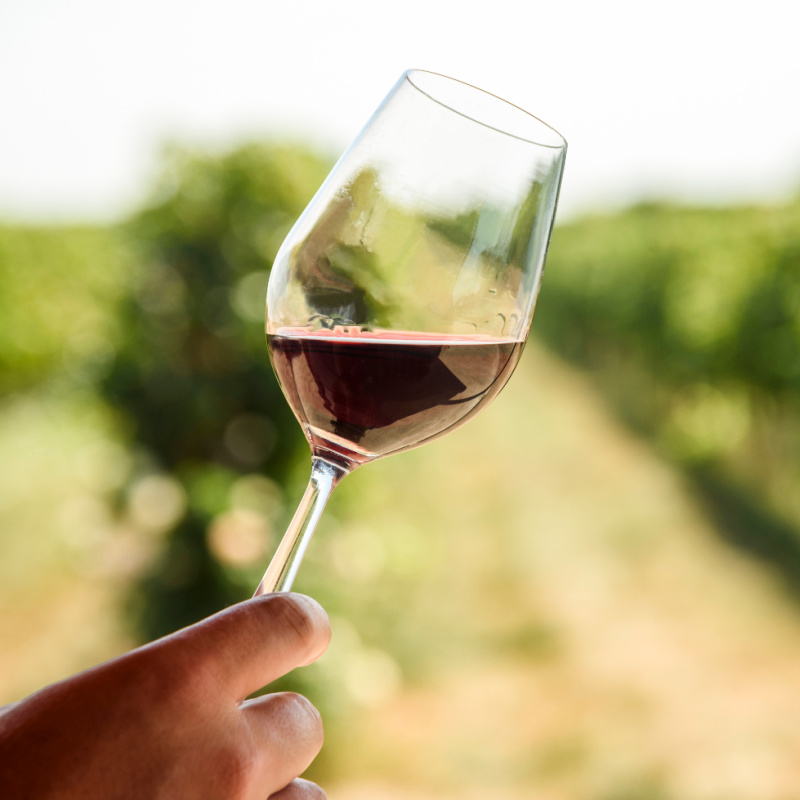 Wine-In-Vineyard