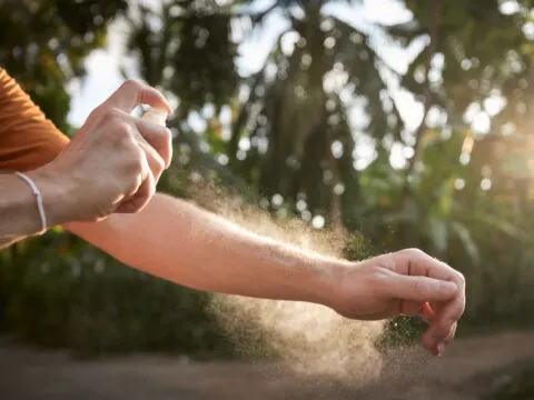 Bali Issues Important Update For Tourists About Zika Virus 
