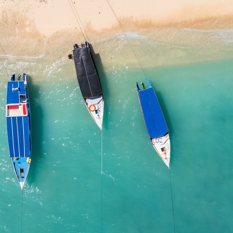 Fast Boats On Shoreline
